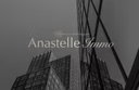 Anastelle Immo