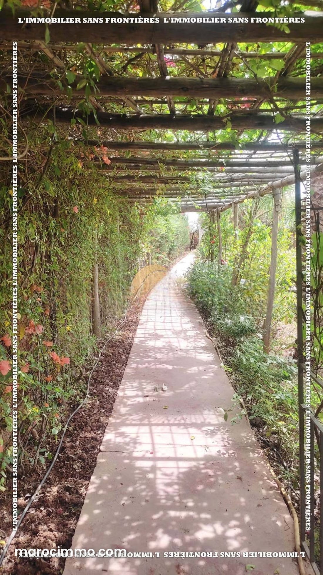 Maison meublée avec jardin arboré à Tamazouzt, photo 2 sur 24