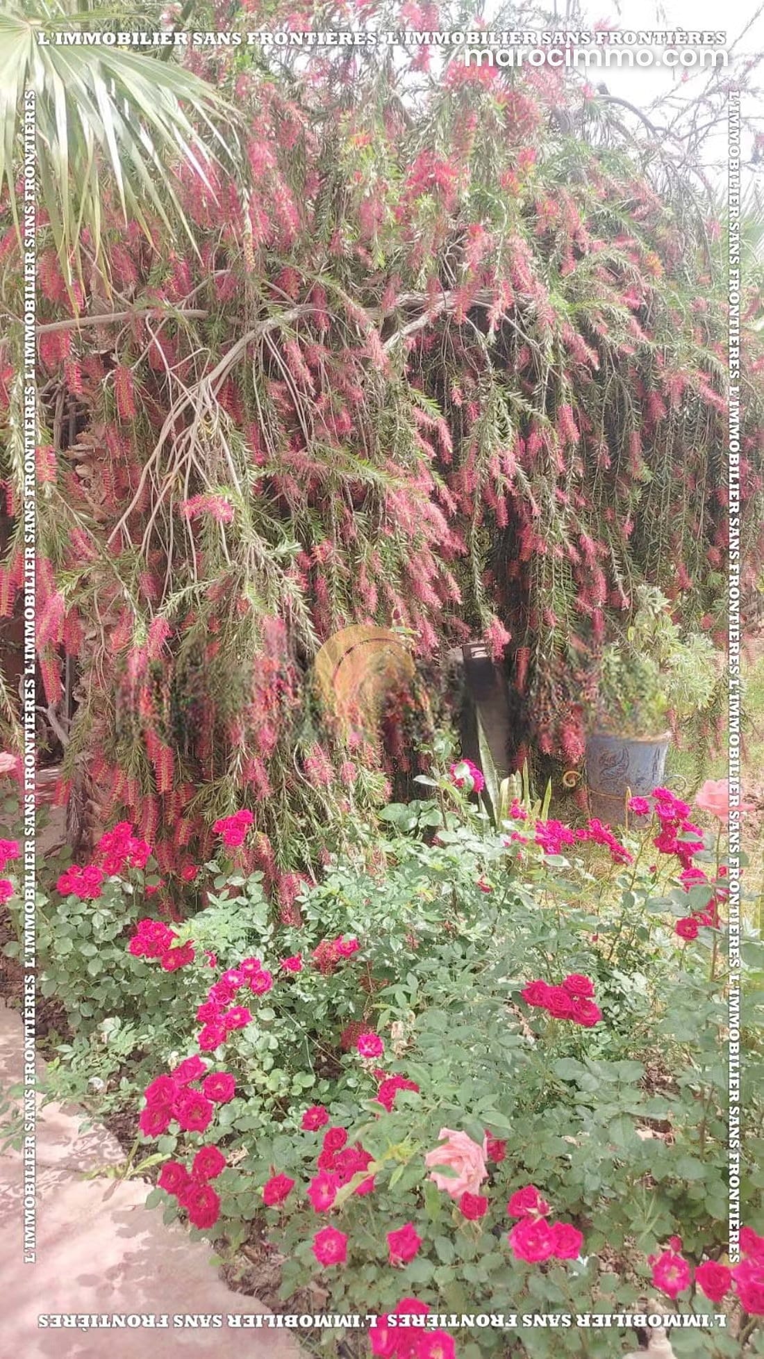 Maison meublée avec jardin arboré à Tamazouzt, photo 3 sur 24