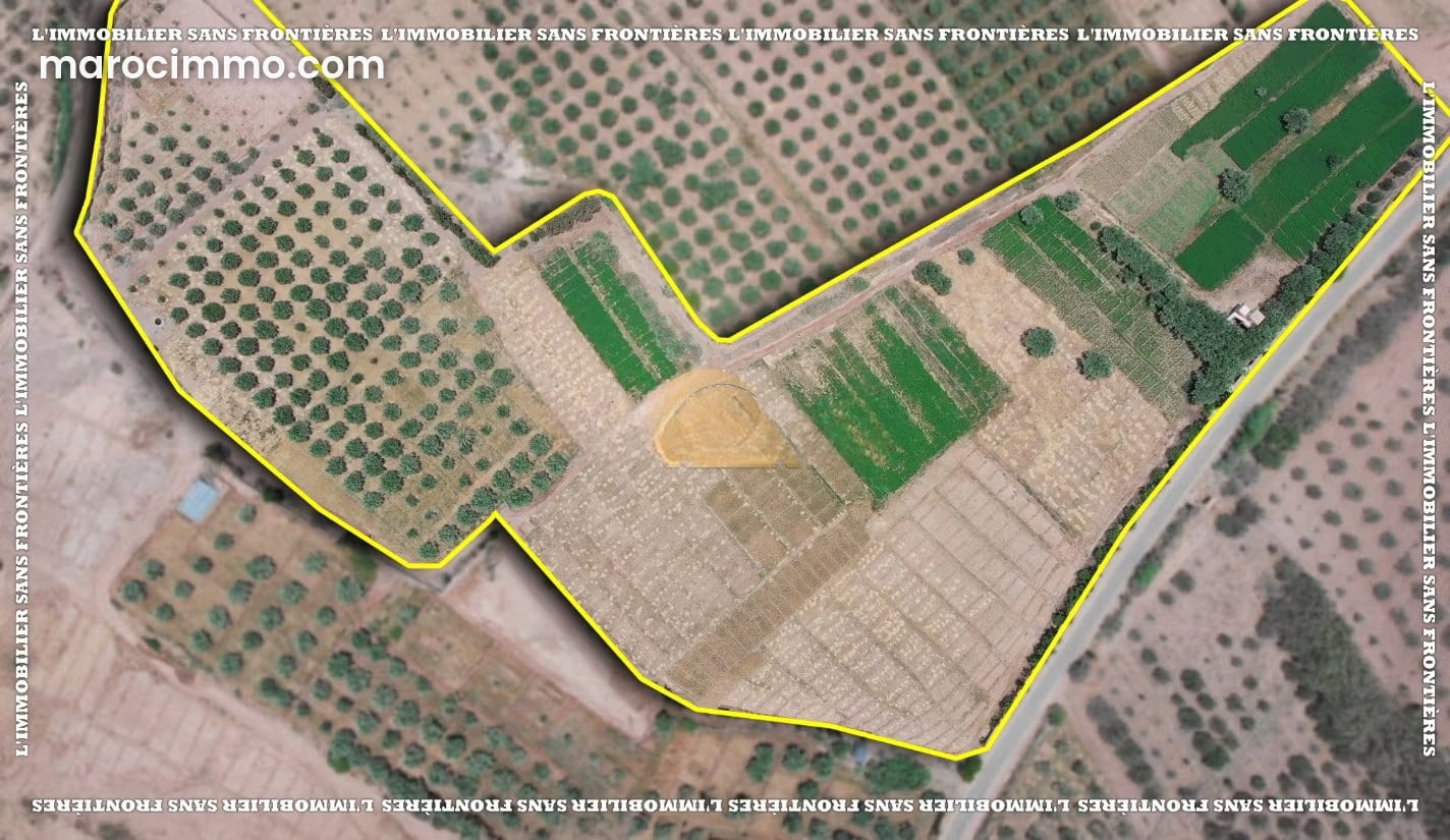 4-Hectare Farm with Olive Trees in Souihla, photo 2 of 25