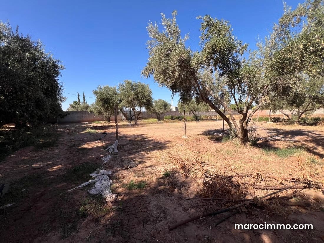 900 m² Plot of Land on Fez Road, photo 3 of 6