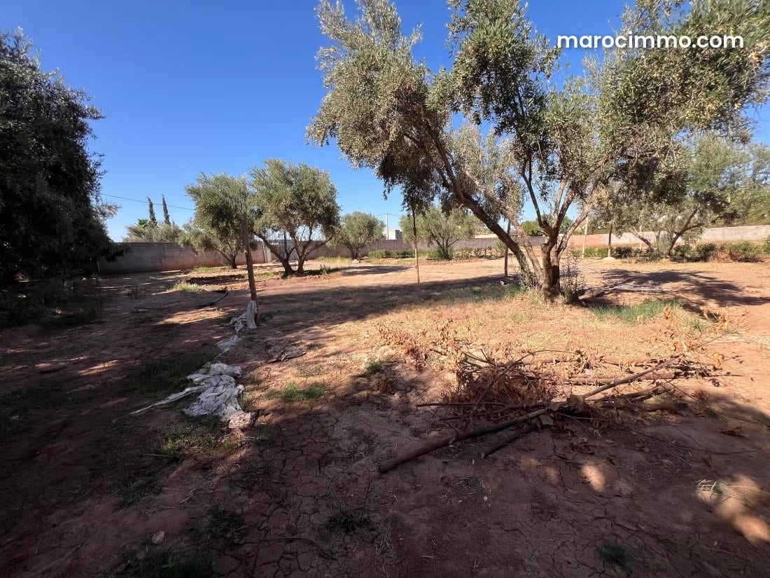 900 m² Plot of Land on Fez Road, photo 2 of 6