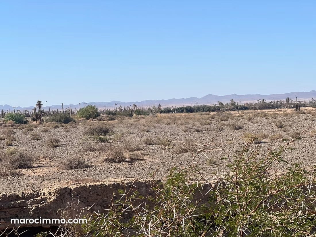 20,000 m² Plot of Land on Fez Road, photo 2 of 7