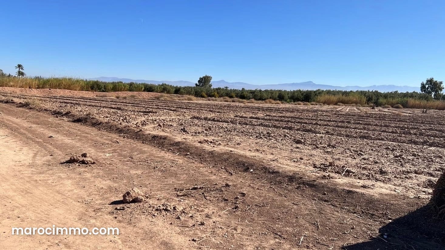 1,070 m² Building Plot for Sale in Bab Atlas, photo 4 of 6