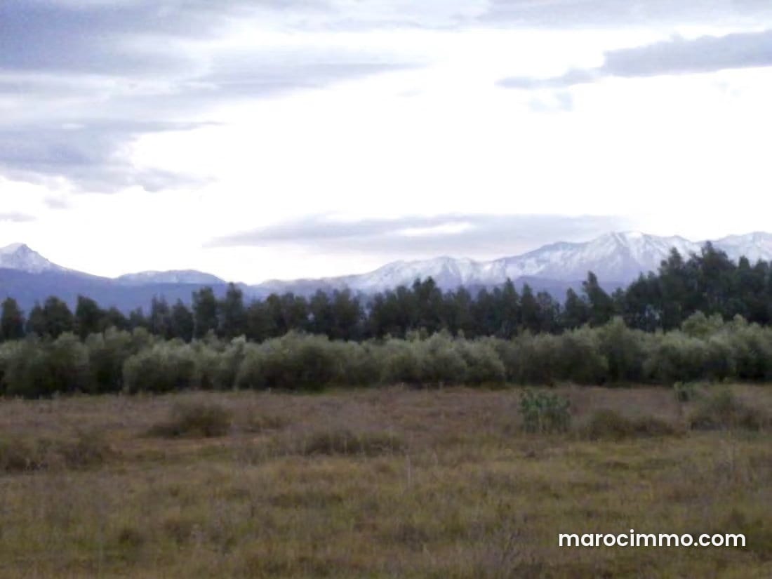 320,000 m² Farm on Ourika Road, photo 5 of 5