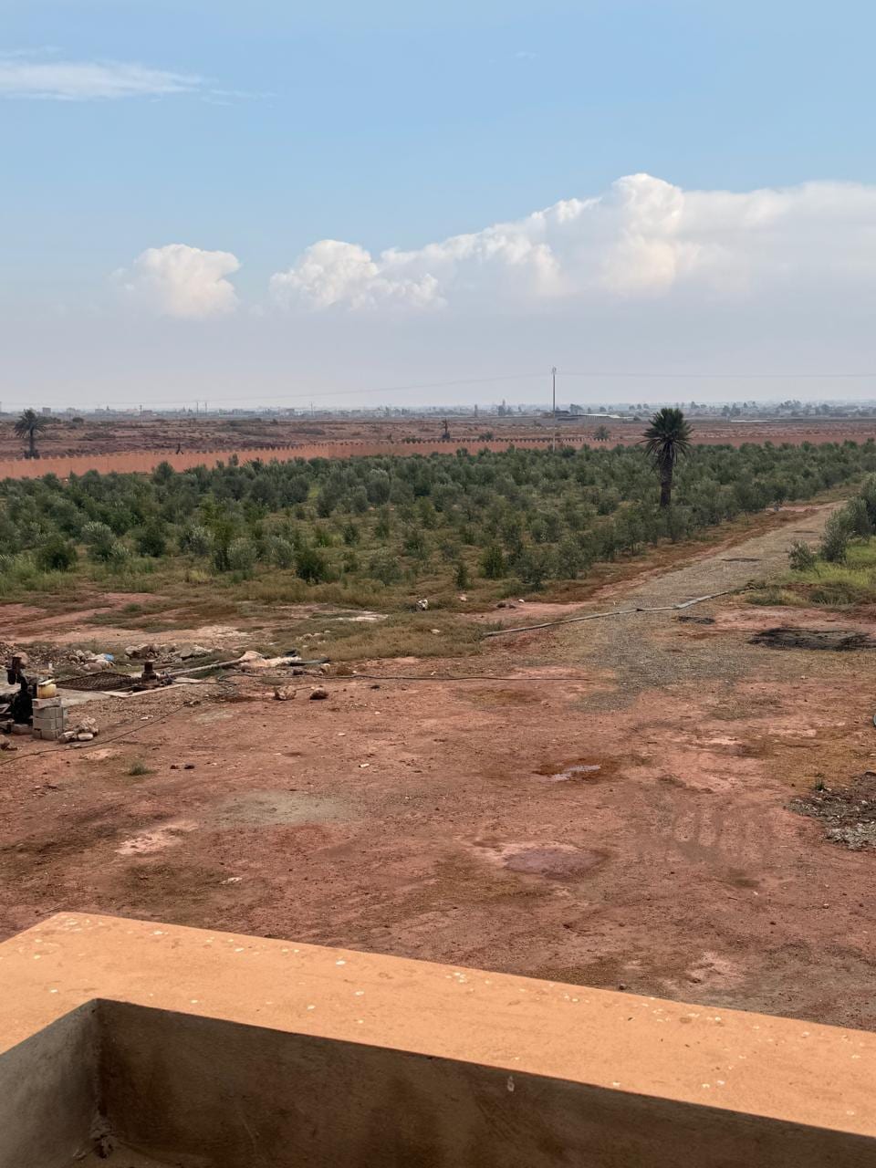 🏡 À VENDRE – Ferme avec Riad de 4,5 hectares à Issen, près d’Agadir, photo 3 sur 3