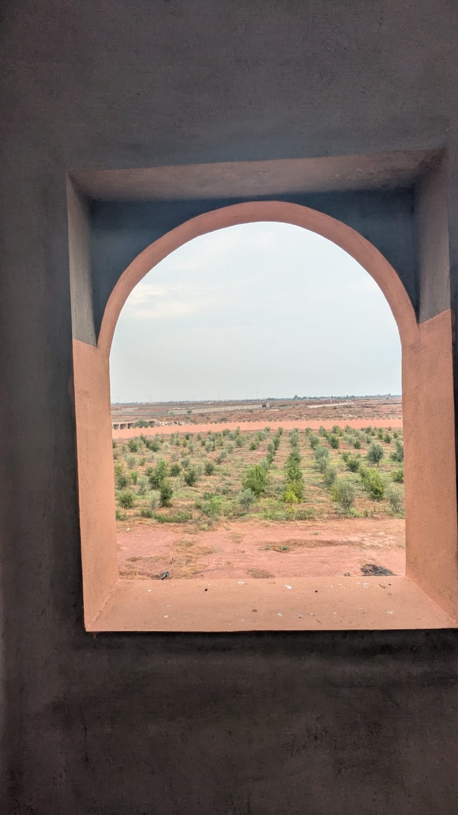 🏡 À VENDRE – Ferme avec Riad de 4,5 hectares à Issen, près d’Agadir, photo 2 sur 3
