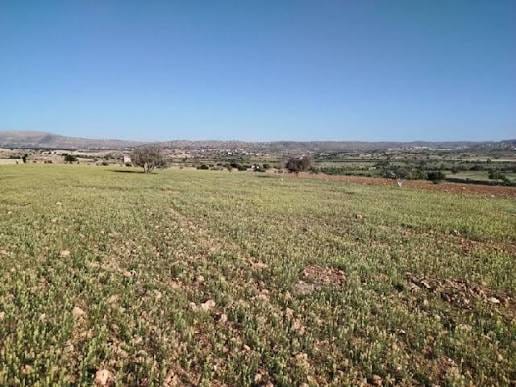 Terrain a vendre route molay yaakoub, photo 2 sur 3