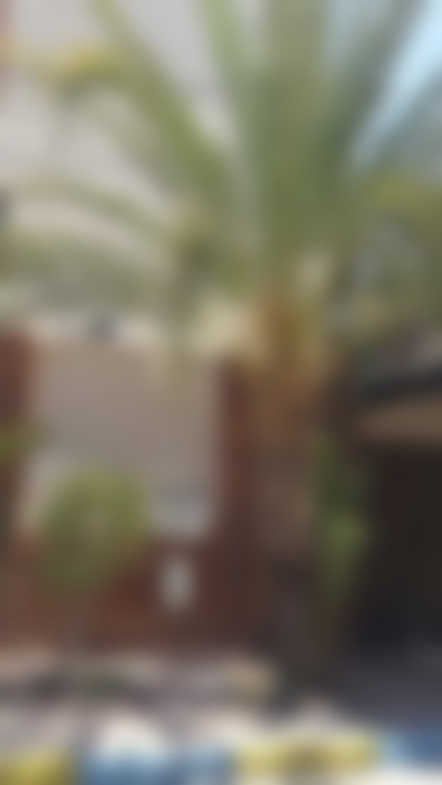 Hôtel 31 chambres avec piscine, Route de Casablanca, Marrakech — 3