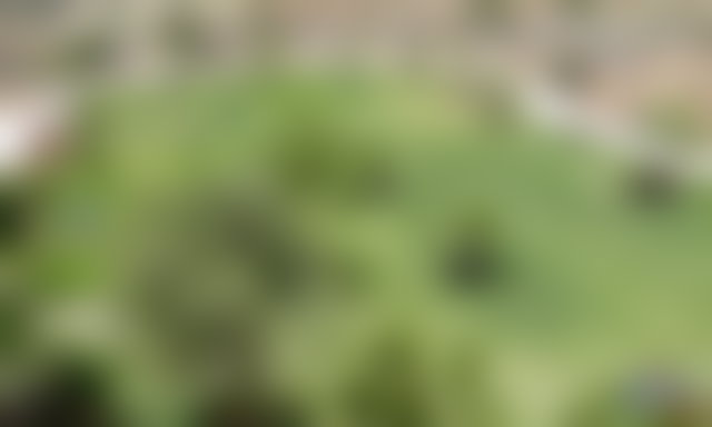 Villa 430 m² sur 1,1 hectare, Lahrarta, Essaouira — 5