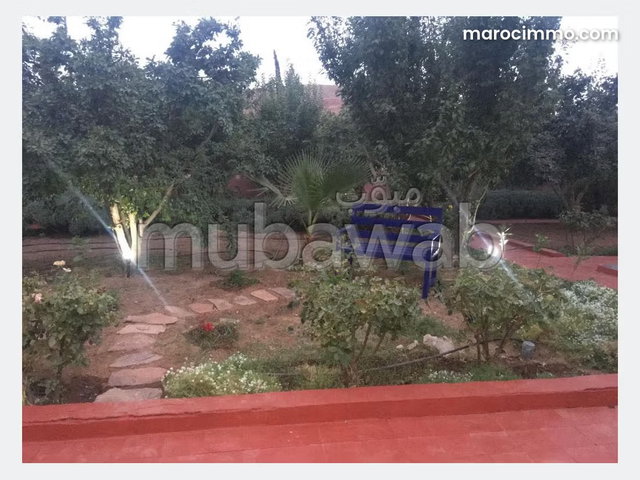 Vente ferme de 137ha a Ouarzazate 1700 m² d'altitude — 3