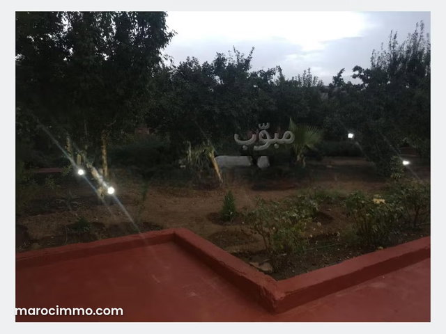 Vente ferme de 137ha a Ouarzazate 1700 m² d'altitude — 4