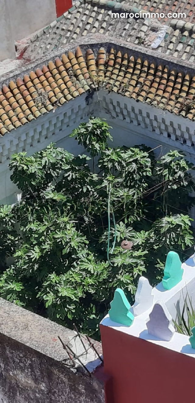 Tanger, médina: très belle maison d'hôtes à vendre vue mer — 5