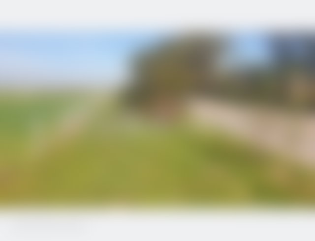 Terrain agricole 1,6 ha à Lakhiaita, proche Casablanca — 2
