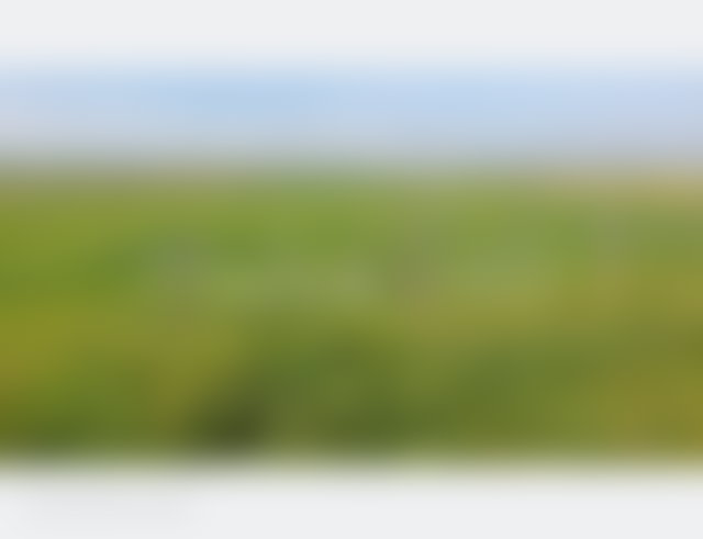 Terrain agricole 1,6 ha à Lakhiaita, proche Casablanca — 3