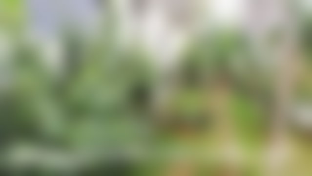 فيلا راقية للإيجار بحي حسان في الرباط — 2