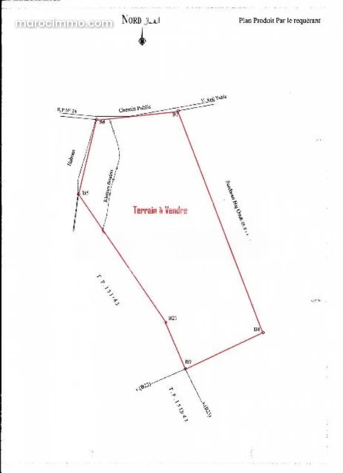 10,000 m² Plot for Sale, Palmeraie, Marrakech — Marrakesh