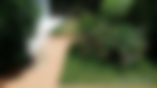Villa 535 m² avec grand jardin arboré à C.I.L, Casablanca — 2
