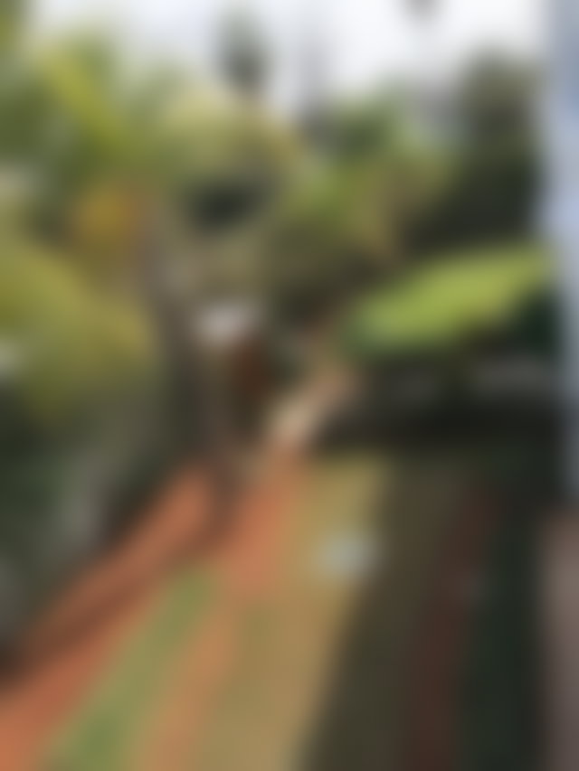 Villa to renovate in Souissi, Rabat: 400 sqm with swimming pool and garden — 2