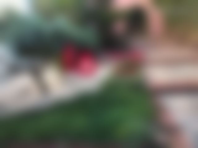 1,400 sqm Villa with Garden, Longchamps, Casablanca — Casablanca