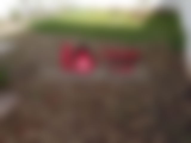 540 sqm Villa with Garden, El Manar El Hank, Casablanca — Casablanca