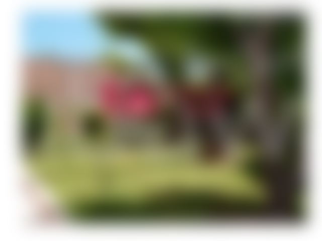 619 m² Villa to Renovate, Anfa, Casablanca, Quiet Cul-de-Sac — Casablanca