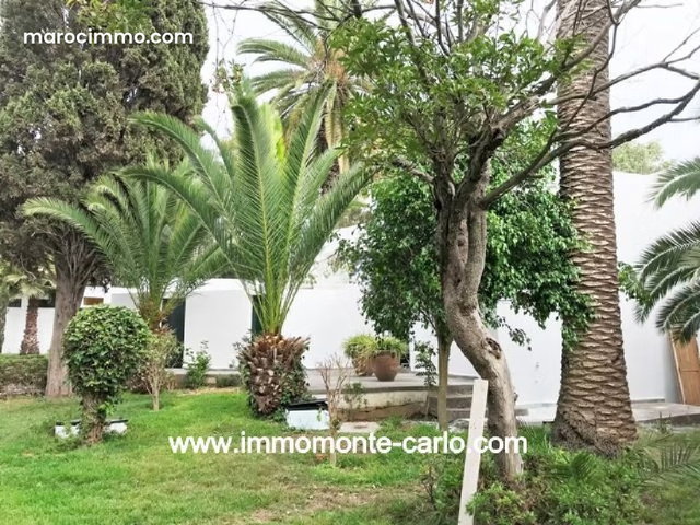 À louer bureau villa usage bureau Rabat Agdal — 4
