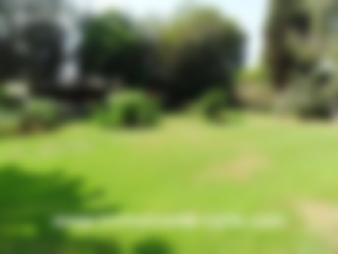Villa 450 m² avec jardin et source, Souissi, Rabat