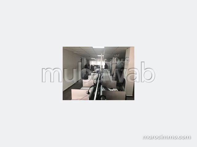 Palateau de bureau lpb 480 de 250 m² à palmier — 5