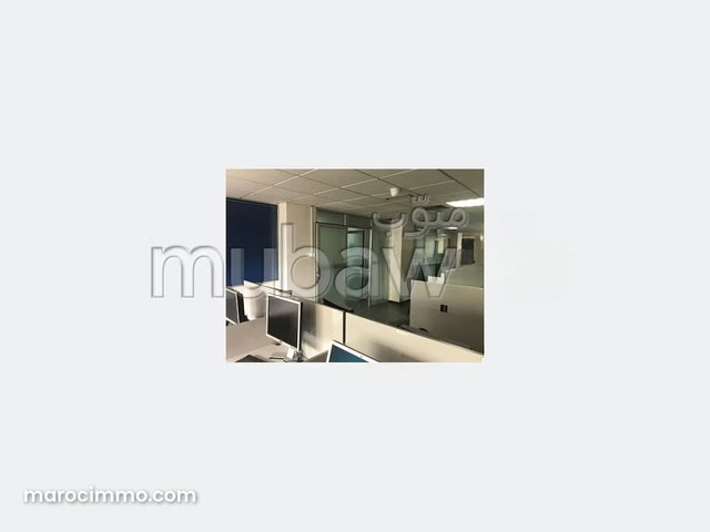 Palateau de bureau lpb 480 de 250 m² à palmier — 2