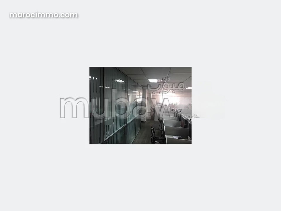 Palateau de bureau lpb 480 de 250 m² à palmier