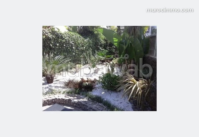 Location Villa meublée Ain Diab Casablanca — 4