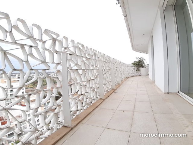 Cfc location d'un superbe appartement terrasse — 3