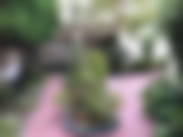 400 m² Villa with Swimming Pool and Sea Views in Hassan, Rabat — Rabat