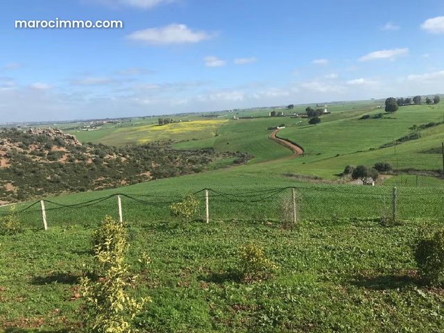 Vente tres belle ferme à sidi yahya zaers — 4