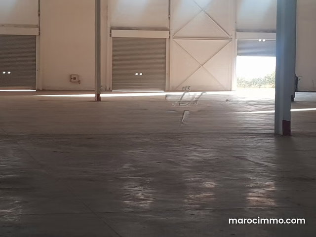 Location industriel LIL 120 de 8700m² a Sapino — 2