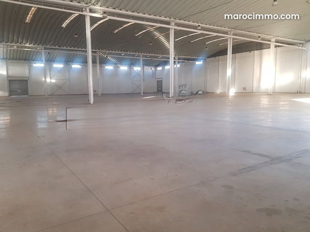 Location industriel LIL 120 de 8700m² a Sapino — 4