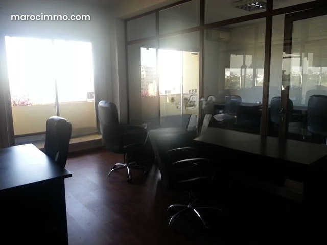 Plateau bureau LPB 136 a palmier de 300m² — 5