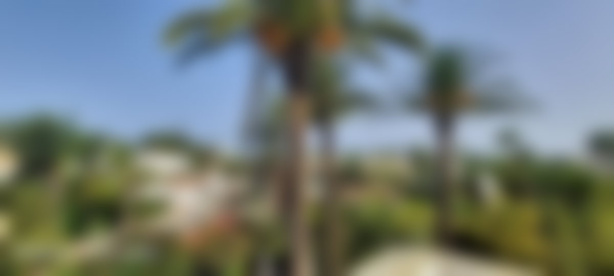 Villa à louer à Anfa, Casablanca, jardin et piscine