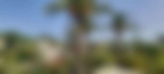 Villa à louer à Anfa, Casablanca, jardin et piscine — Casablanca