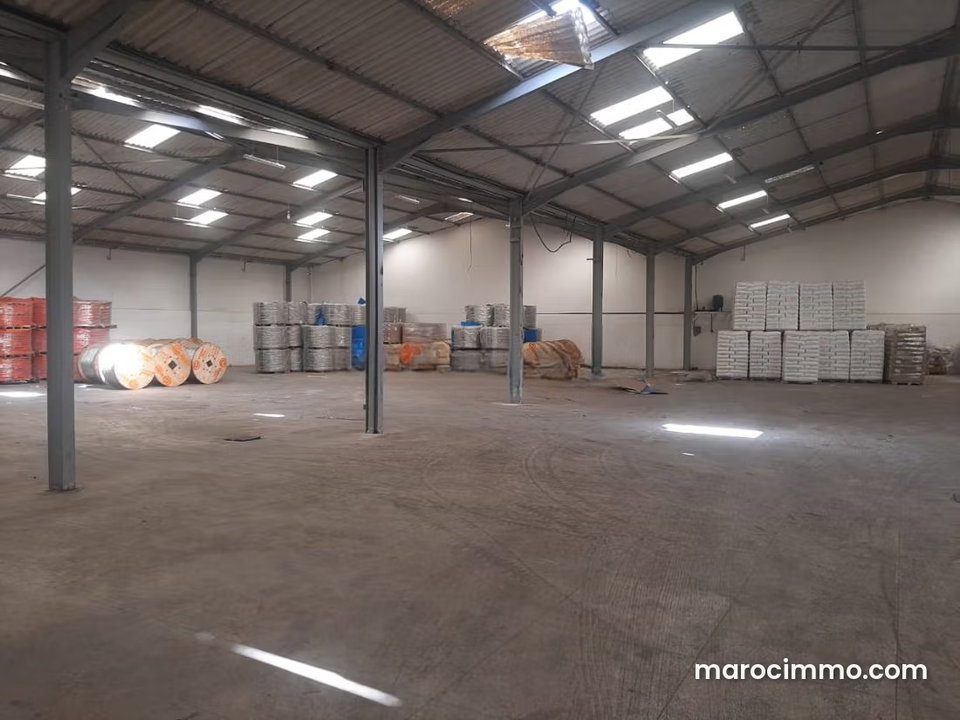 Hangar stockage Ain seeba