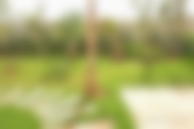250 m² Villa with Garden, Aïn Diab, Casablanca, for Rent — 3