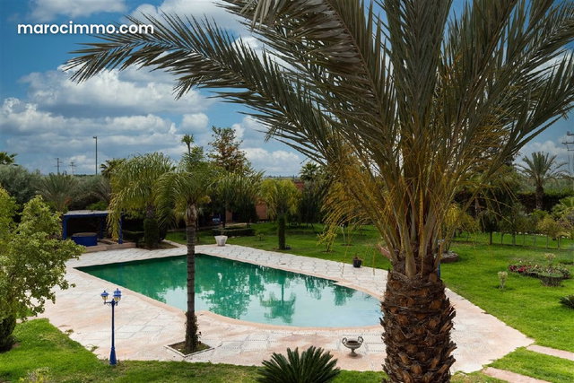 PALAIS d'HOTES oriental / LUXE / PAS cher — 3