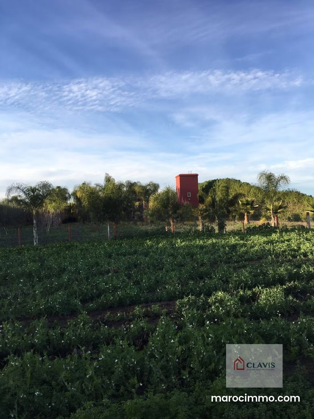 Farm with Swimming Pool in Les Chênes, Benslimane — Benslimane