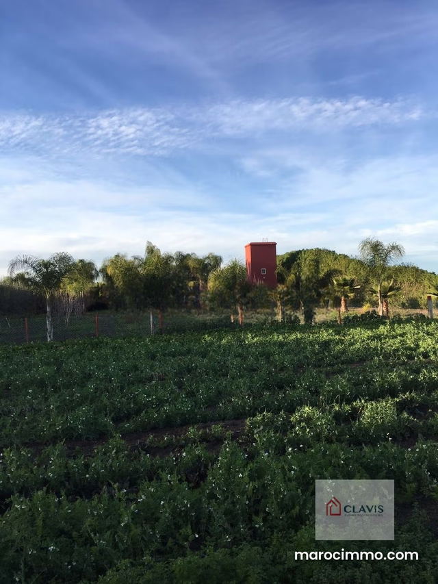 Ferme avec villa à Benslimane — Benslimane