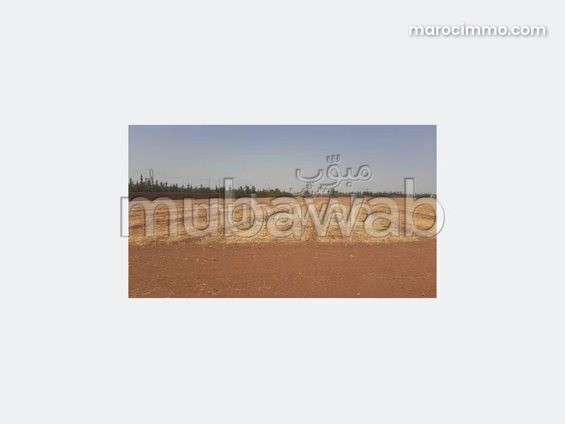 10,000 m² Plot with Permit for 8 Villas, Ourika Road, Marrakech — Marrakesh