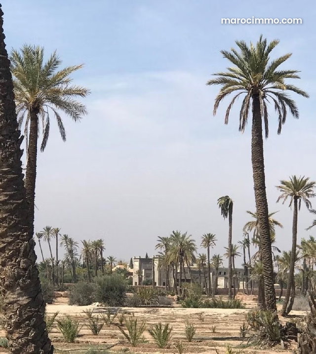 Terrain zone villa à vendre sur Marrakech — 2