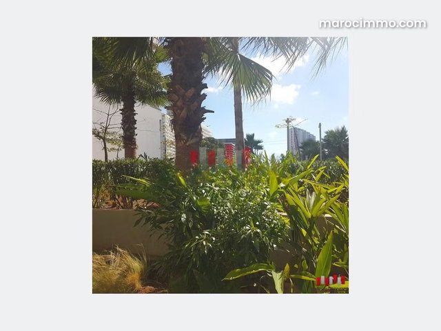 Cosy studio a louer meuble – au quartier casa finance city – casablanca — 4
