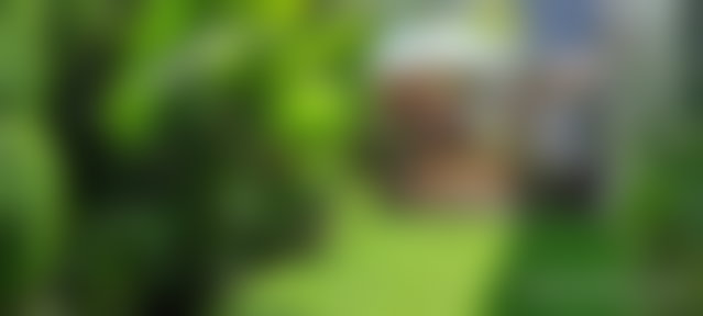 فيلا فاخرة بمسبح وحديقة في حي فيل فيرت بوسكورة — 3