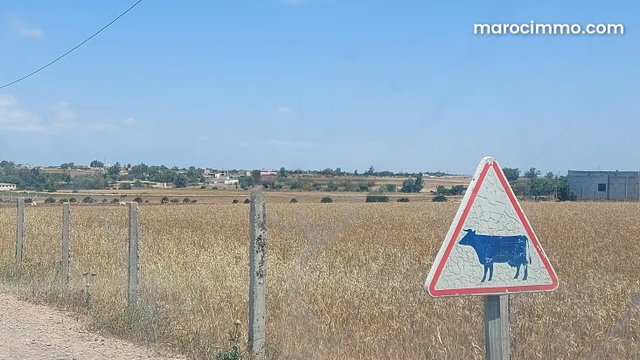 Terrain 11255 m² Bouskoura/Labissa — 3